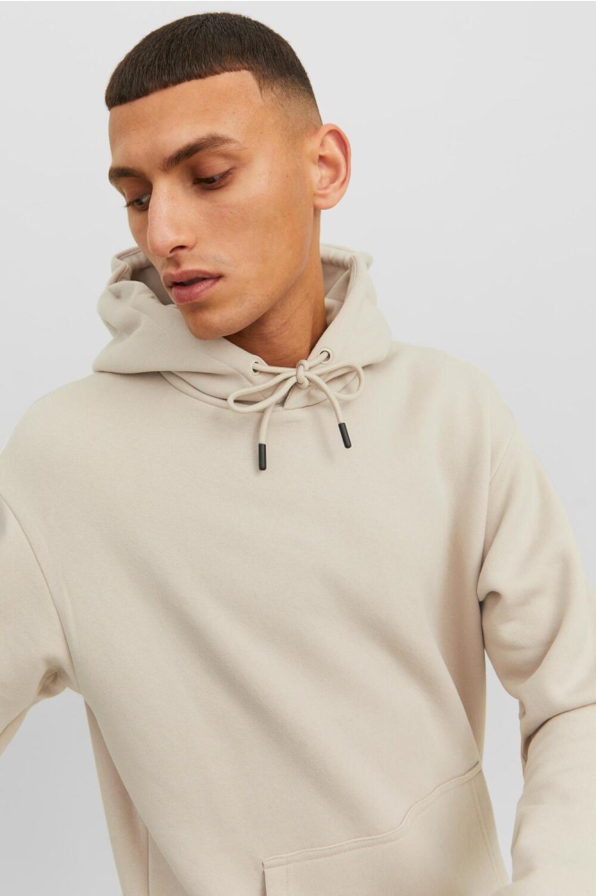 JJEBRADLEY SWEAT HOOD NOOS 12249340 MOONBEAM